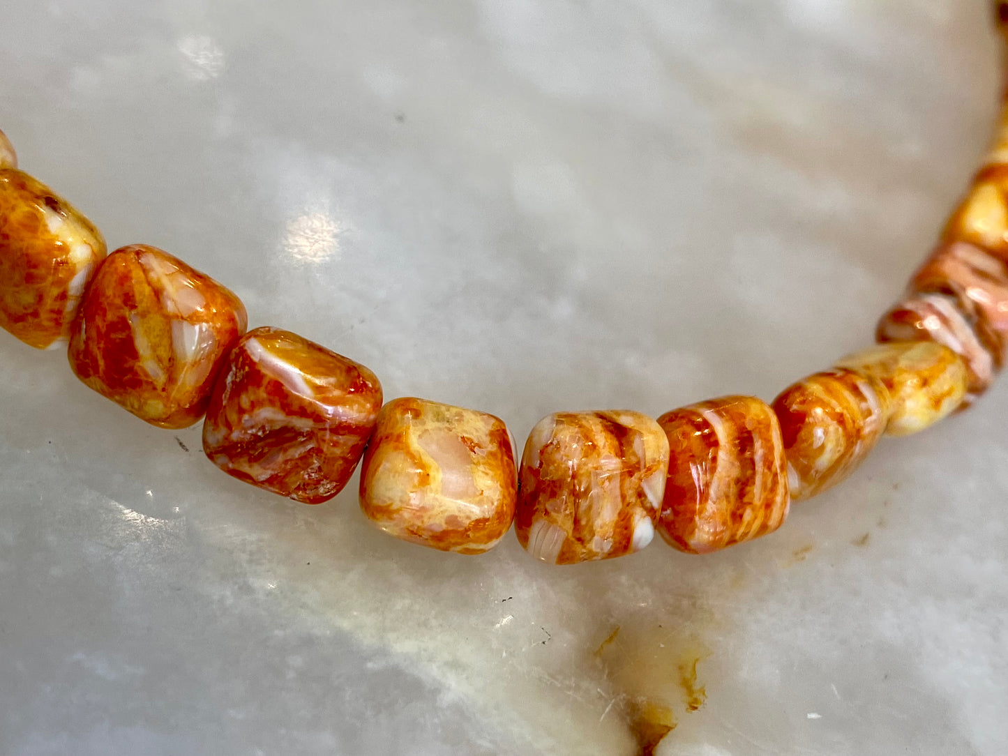 Spiny Oyster, Turquoise Beaded Necklace