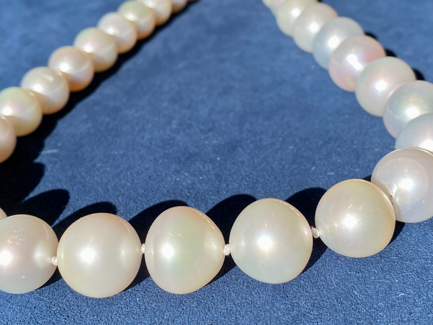 White South Sea Cultured Pearl Necklace