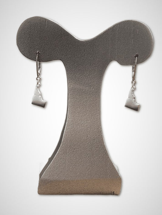 Silver Idaho Dangle Earrings