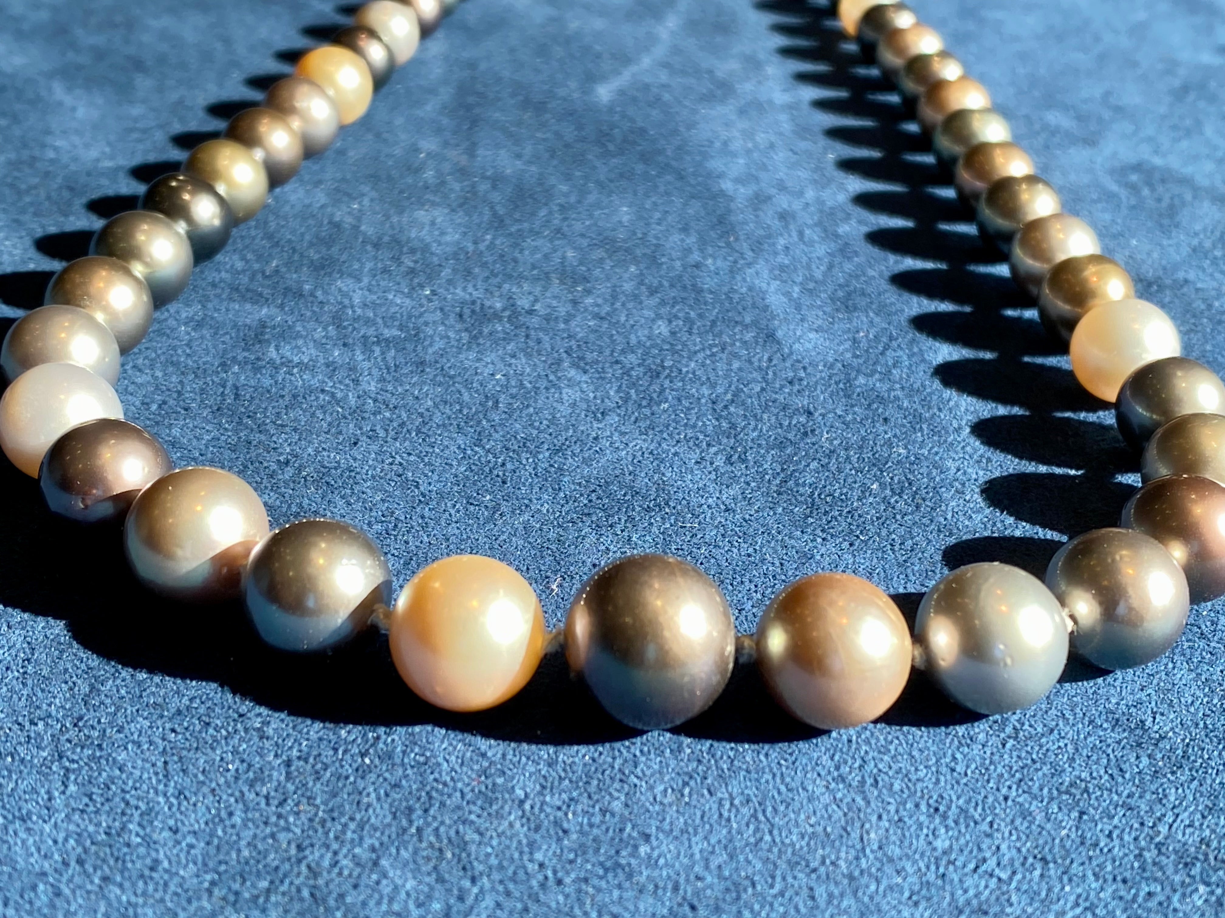 Tahitian pearl hot sale strand necklace