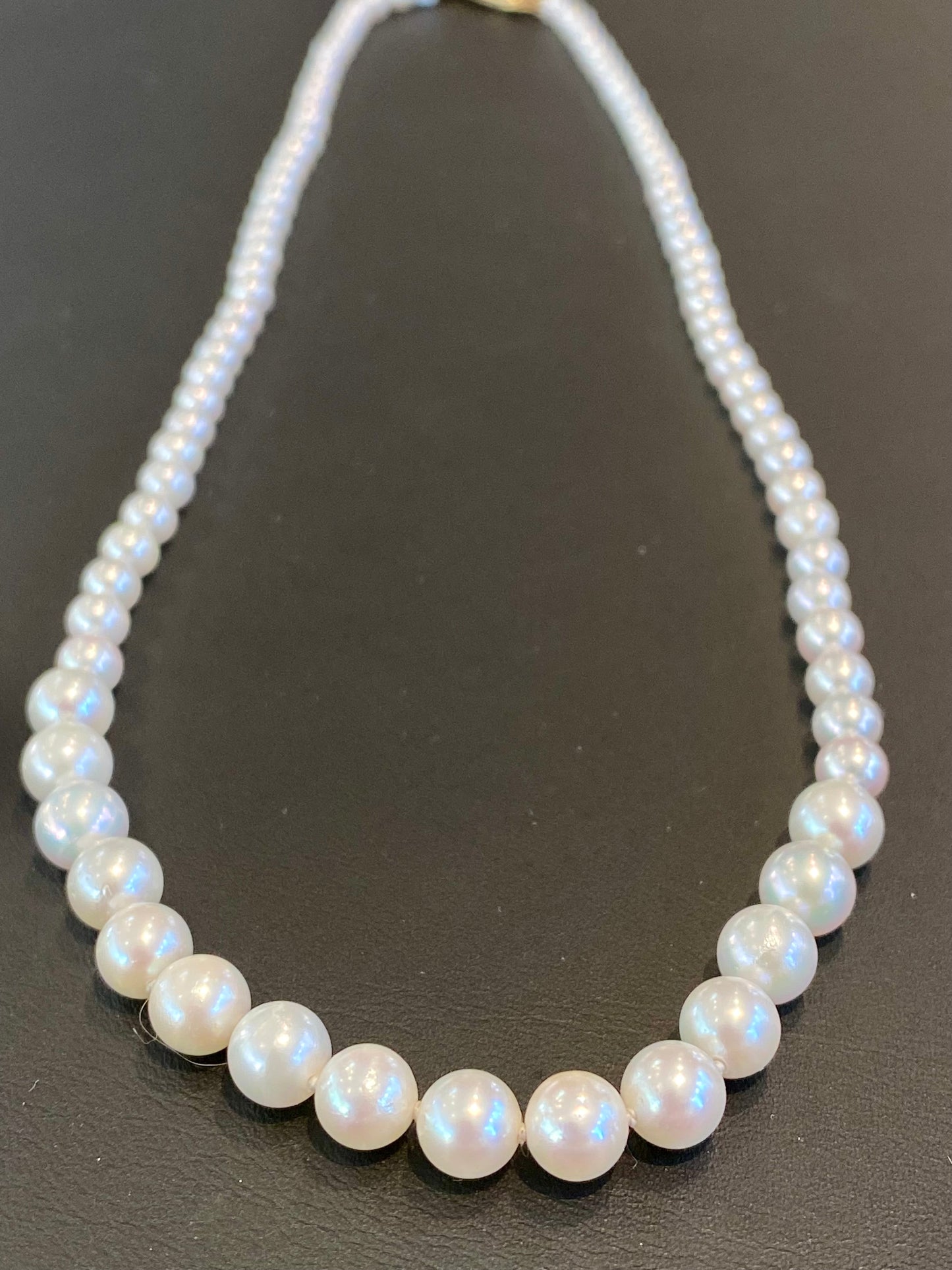 14KY GRADUATED AKOYA PEARL NECKLACE